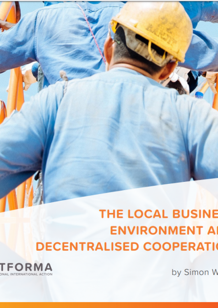 Imagen de Publicación 'El Entorno Empresarial Local y La Cooperación Descentralizada'